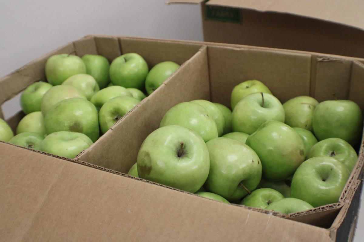 2024.05 Digital Skills Program & Graduation