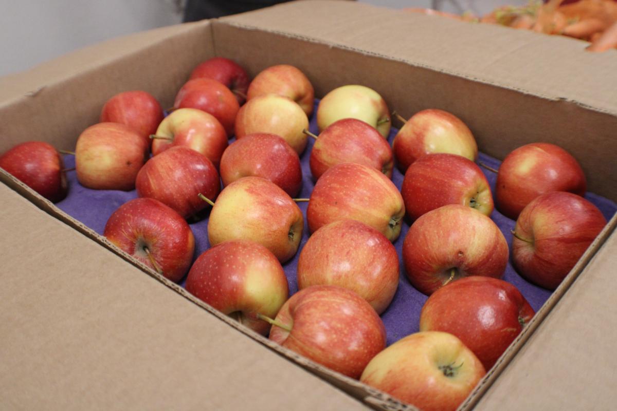 2024.05 Digital Skills Program & Graduation