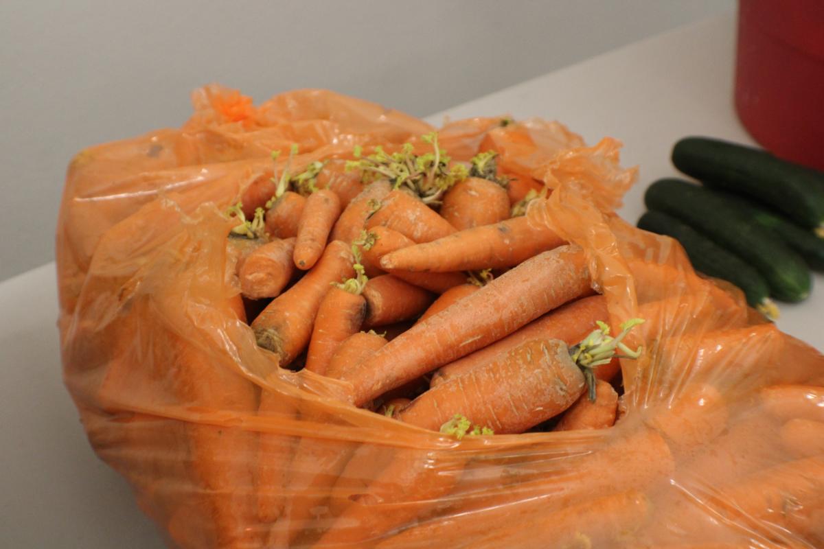 2024.05 Digital Skills Program & Graduation