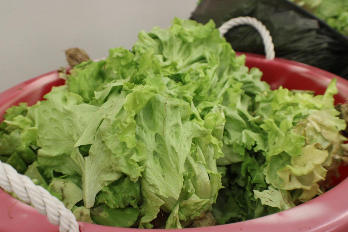 2024.05 Digital Skills Program & Graduation