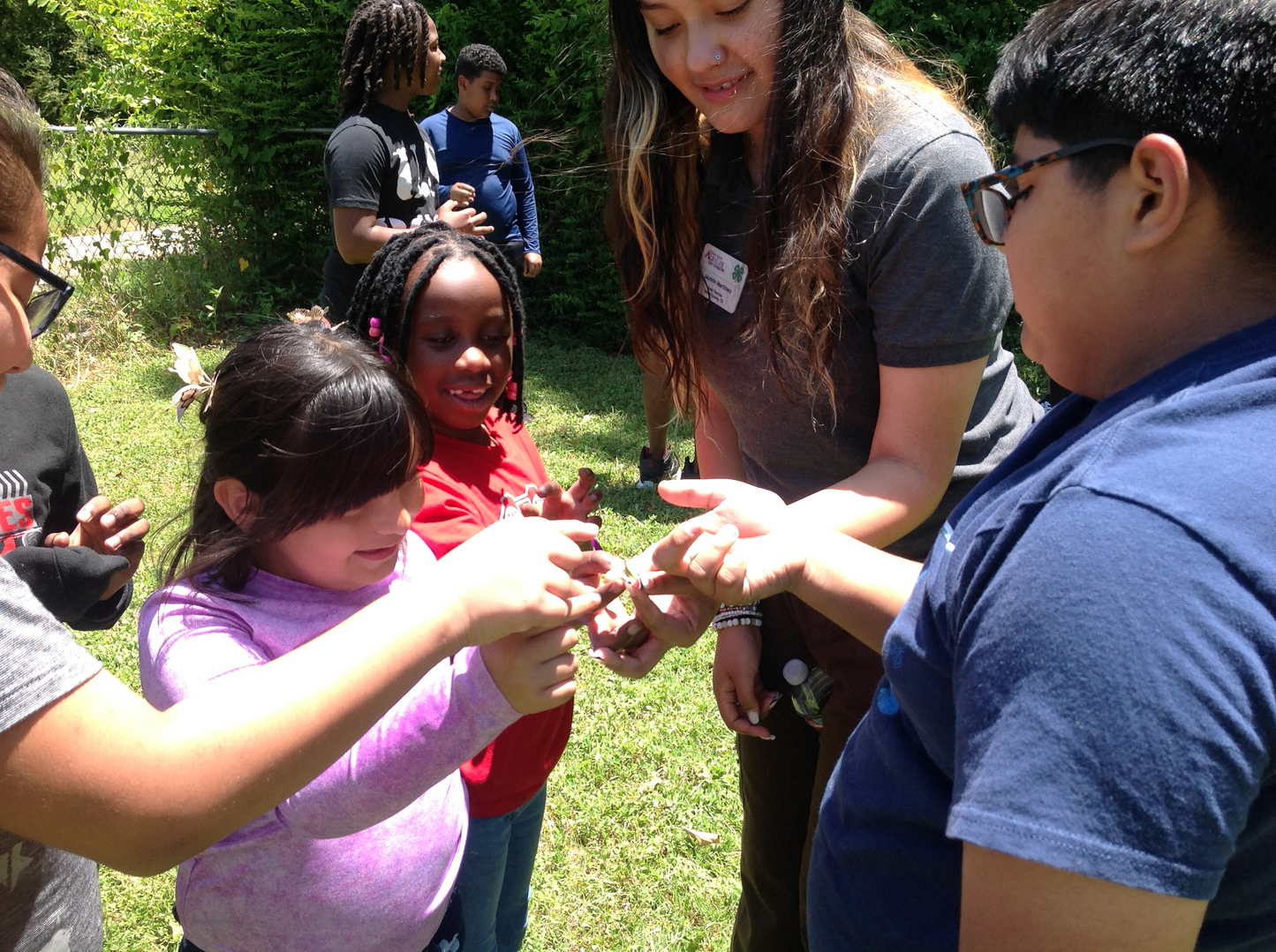 Summer Camp 2025