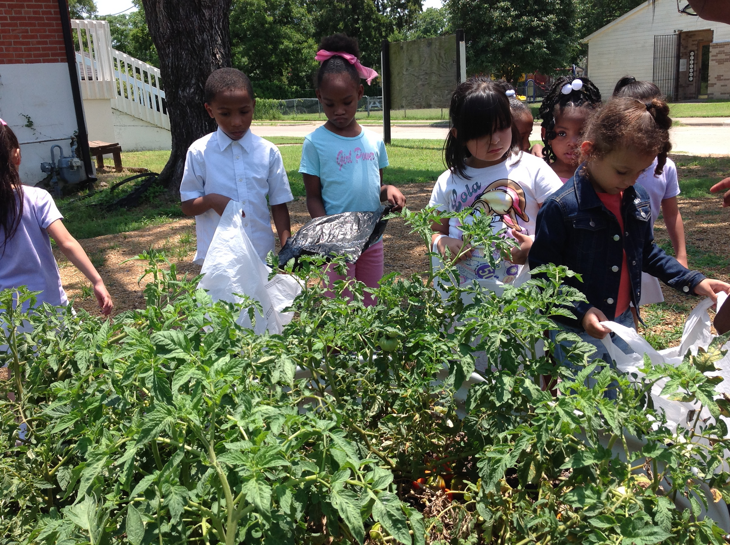 Summer Camp 2025